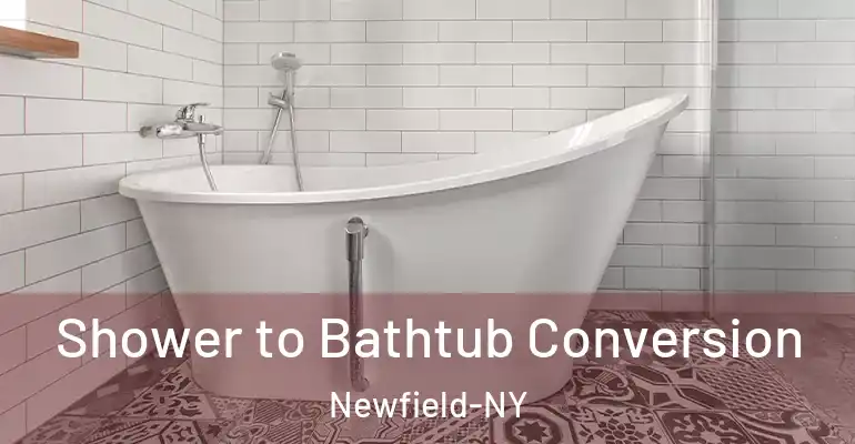 inner Bathroom imggen Shower to Bathtub Conversion Newfield-NY