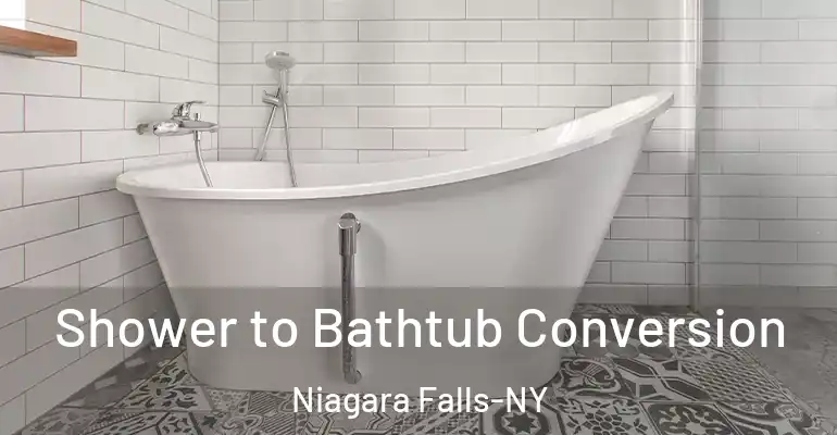 inner Bathroom imggen Shower to Bathtub Conversion Niagara Falls-NY