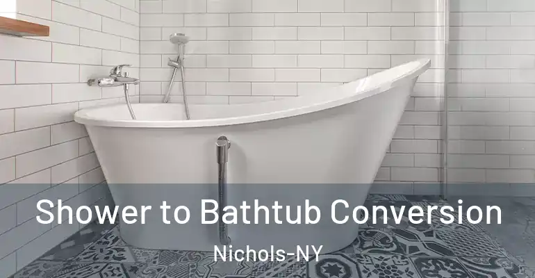 inner Bathroom imggen Shower to Bathtub Conversion Nichols-NY