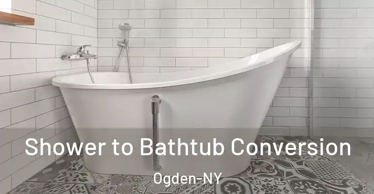 inner Bathroom imggen Shower to Bathtub Conversion Ogden-NY