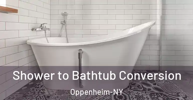 inner Bathroom imggen Shower to Bathtub Conversion Oppenheim-NY