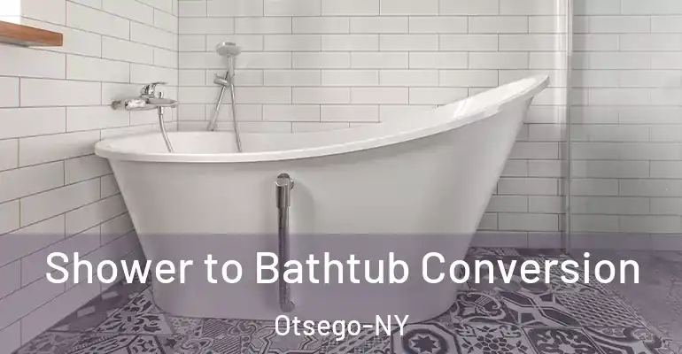 inner Bathroom imggen Shower to Bathtub Conversion Otsego-NY