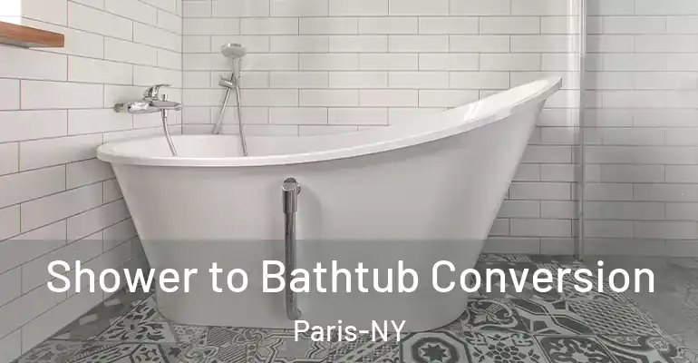 inner Bathroom imggen Shower to Bathtub Conversion Paris-NY