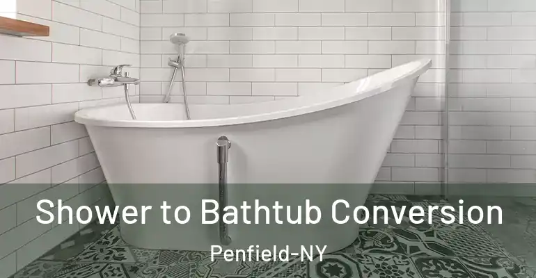 inner Bathroom imggen Shower to Bathtub Conversion Penfield-NY