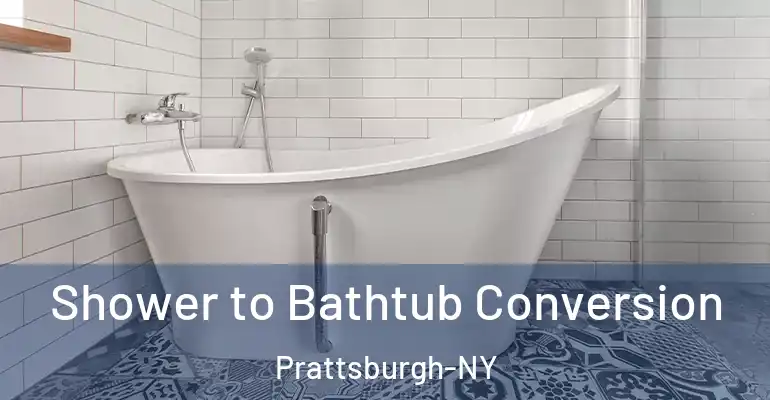 inner Bathroom imggen Shower to Bathtub Conversion Prattsburgh-NY