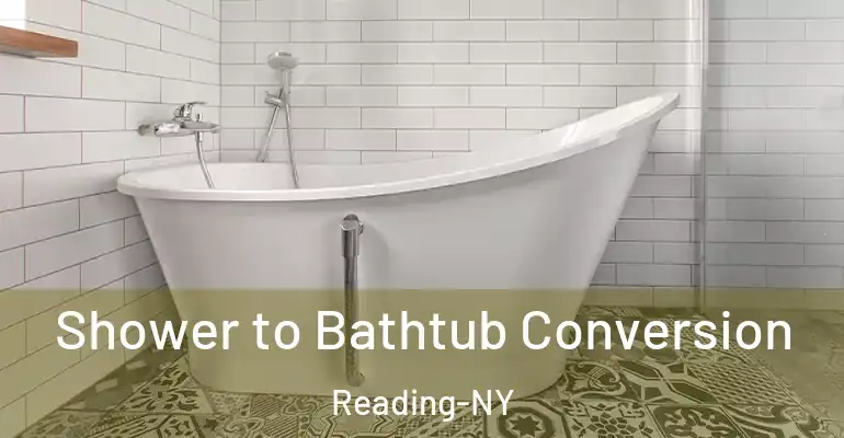 inner Bathroom imggen Shower to Bathtub Conversion Reading-NY