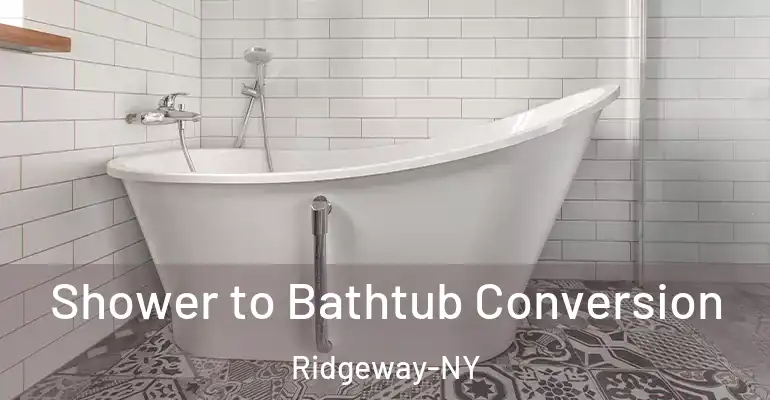 inner Bathroom imggen Shower to Bathtub Conversion Ridgeway-NY