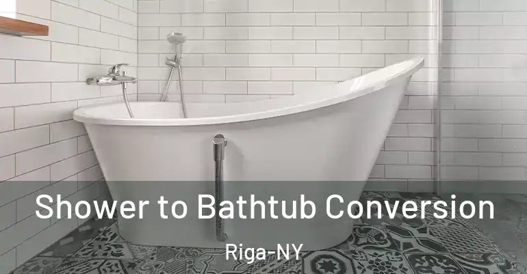 inner Bathroom imggen Shower to Bathtub Conversion Riga-NY