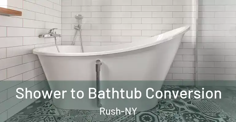 inner Bathroom imggen Shower to Bathtub Conversion Rush-NY