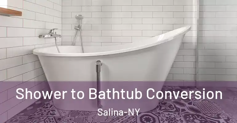 inner Bathroom imggen Shower to Bathtub Conversion Salina-NY
