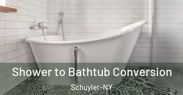 inner Bathroom imggen Shower to Bathtub Conversion Schuyler-NY