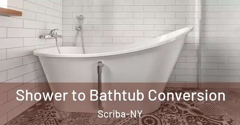 inner Bathroom imggen Shower to Bathtub Conversion Scriba-NY