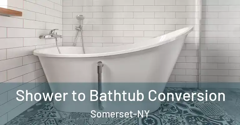 inner Bathroom imggen Shower to Bathtub Conversion Somerset-NY