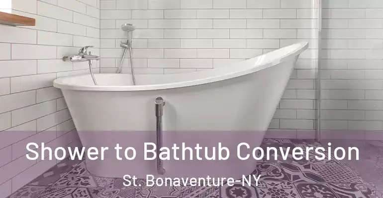 inner Bathroom imggen Shower to Bathtub Conversion St. Bonaventure-NY