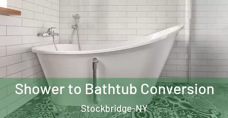 inner Bathroom imggen Shower to Bathtub Conversion Stockbridge-NY