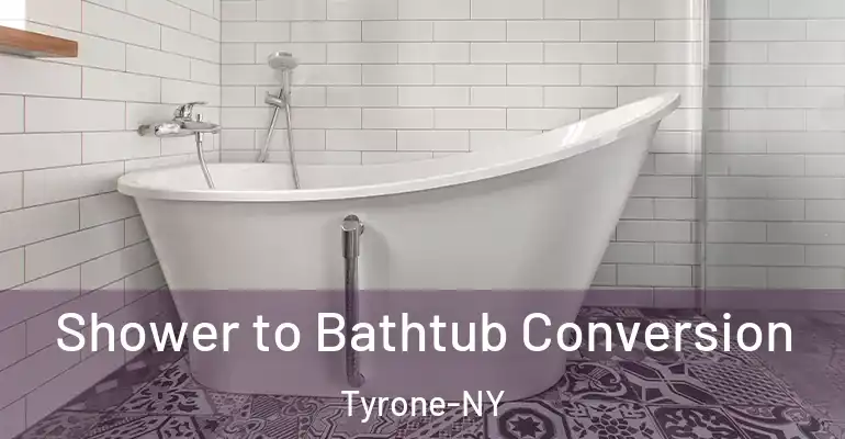 inner Bathroom imggen Shower to Bathtub Conversion Tyrone-NY