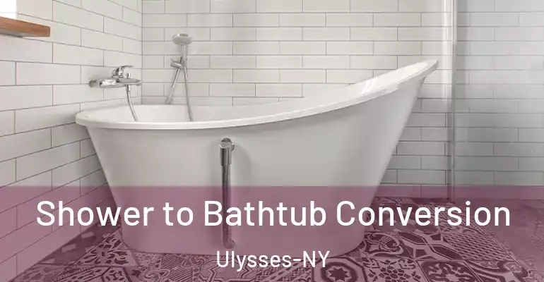 inner Bathroom imggen Shower to Bathtub Conversion Ulysses-NY