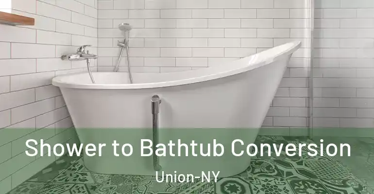 inner Bathroom imggen Shower to Bathtub Conversion Union-NY