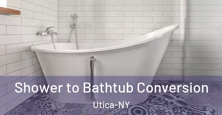inner Bathroom imggen Shower to Bathtub Conversion Utica-NY