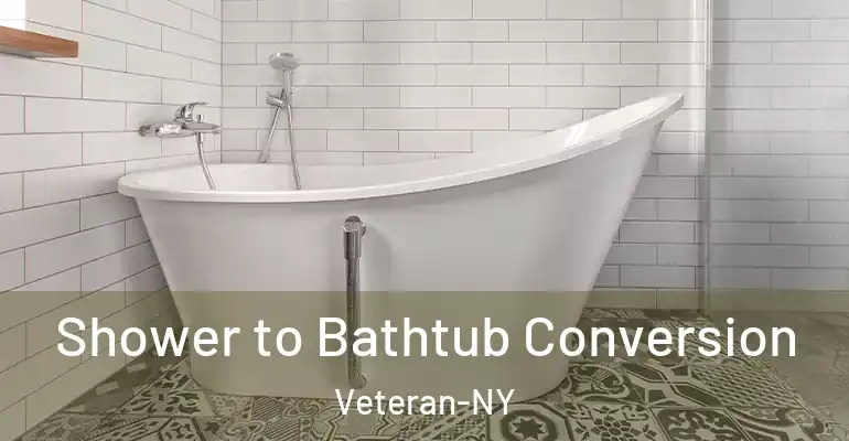 inner Bathroom imggen Shower to Bathtub Conversion Veteran-NY