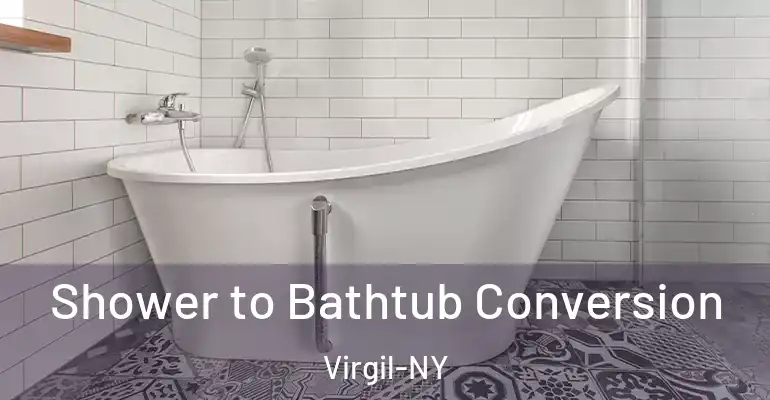 inner Bathroom imggen Shower to Bathtub Conversion Virgil-NY