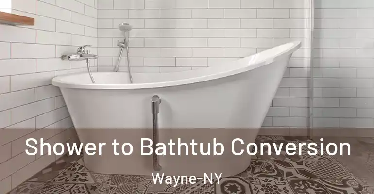 inner Bathroom imggen Shower to Bathtub Conversion Wayne-NY