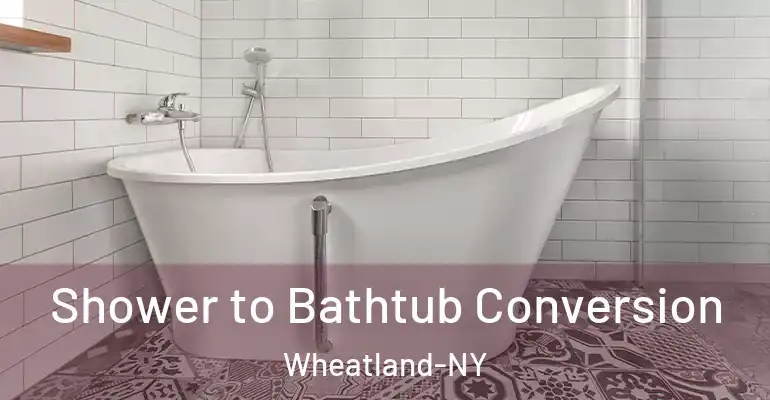inner Bathroom imggen Shower to Bathtub Conversion Wheatland-NY