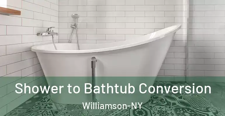 inner Bathroom imggen Shower to Bathtub Conversion Williamson-NY
