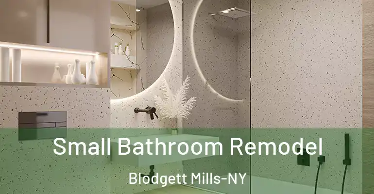 inner Bathroom imggen Small Bathroom Remodel Blodgett Mills-NY