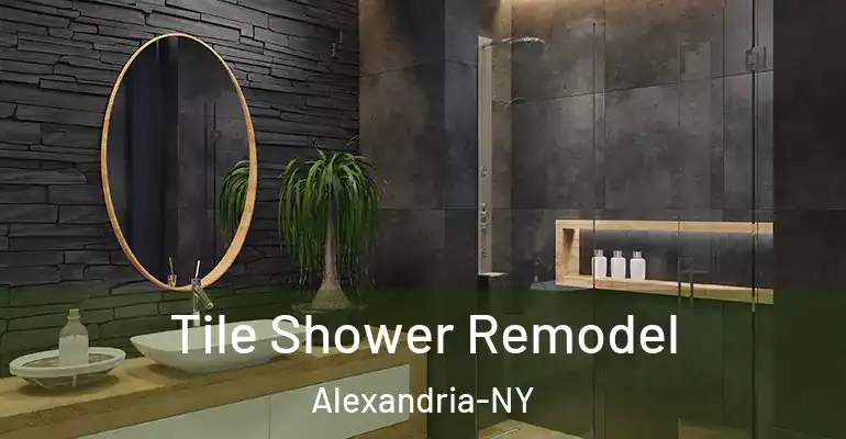 inner Bathroom imggen Tile Shower Remodel Alexandria-NY
