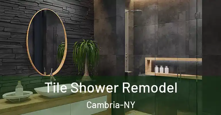 inner Bathroom imggen Tile Shower Remodel Cambria-NY