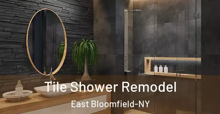 inner Bathroom imggen Tile Shower Remodel East Bloomfield-NY