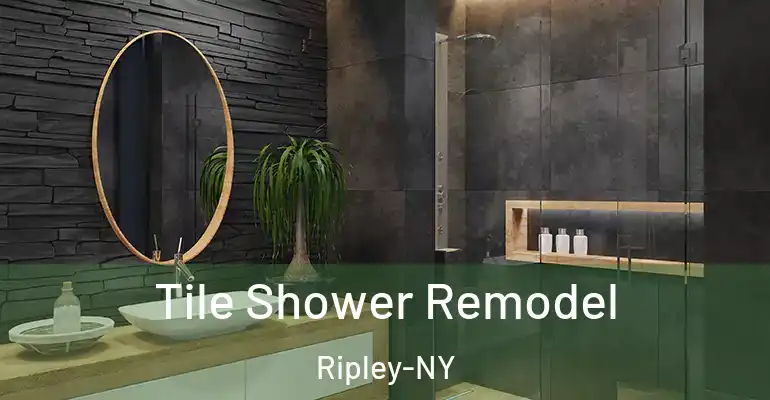 inner Bathroom imggen Tile Shower Remodel Ripley-NY