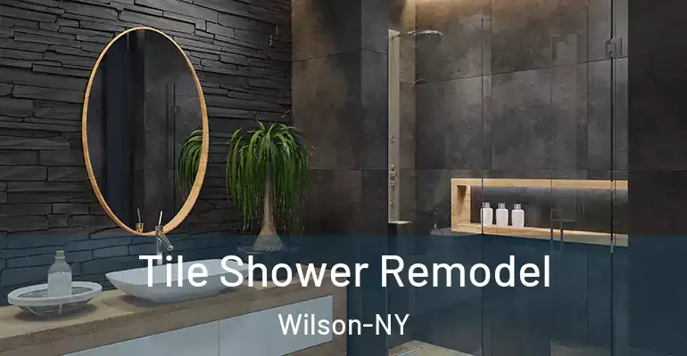 inner Bathroom imggen Tile Shower Remodel Wilson-NY