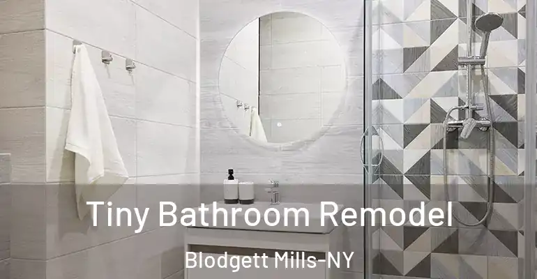 inner Bathroom imggen Tiny Bathroom Remodel Blodgett Mills-NY