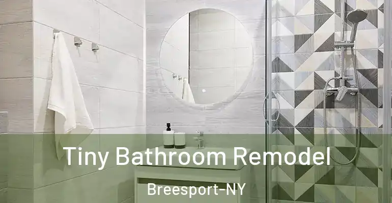 inner Bathroom imggen Tiny Bathroom Remodel Breesport-NY