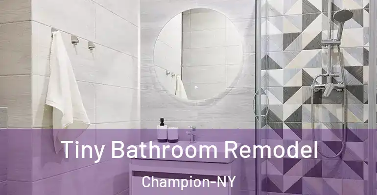 inner Bathroom imggen Tiny Bathroom Remodel Champion-NY