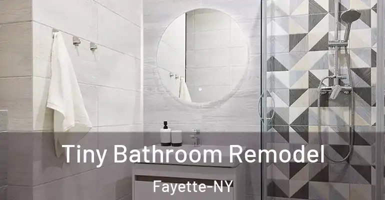 inner Bathroom imggen Tiny Bathroom Remodel Fayette-NY