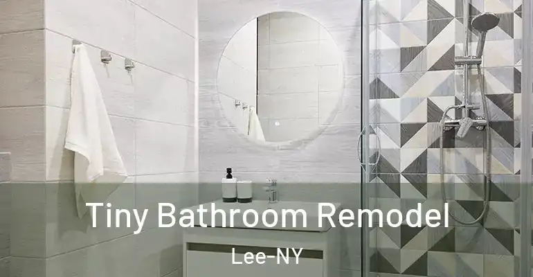 inner Bathroom imggen Tiny Bathroom Remodel Lee-NY