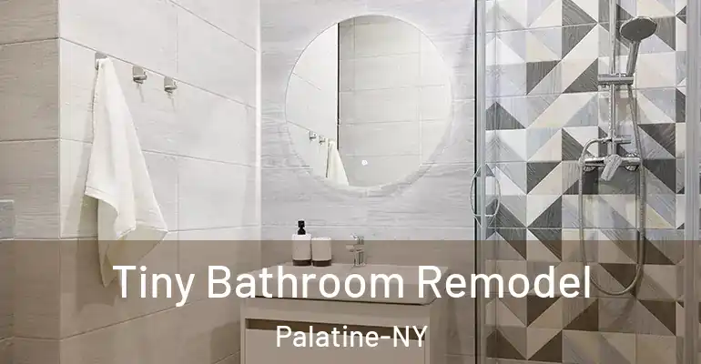 inner Bathroom imggen Tiny Bathroom Remodel Palatine-NY