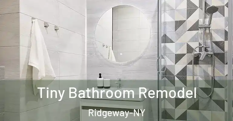 inner Bathroom imggen Tiny Bathroom Remodel Ridgeway-NY