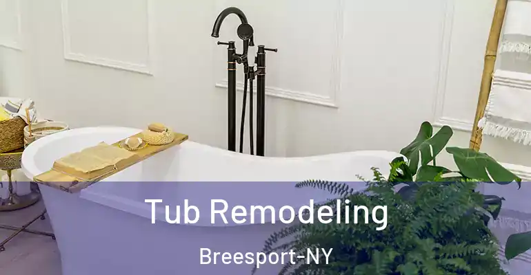 inner Bathroom imggen Tub Remodeling Breesport-NY