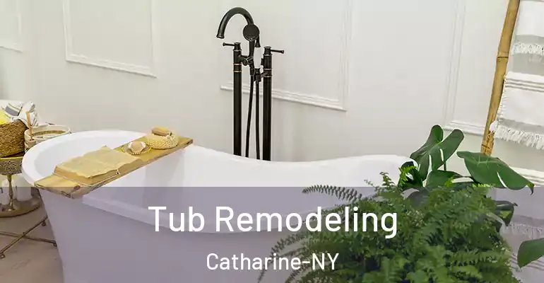 inner Bathroom imggen Tub Remodeling Catharine-NY