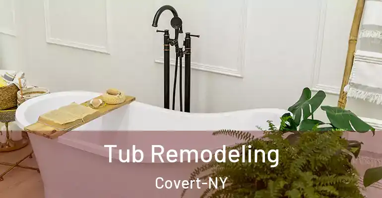 inner Bathroom imggen Tub Remodeling Covert-NY