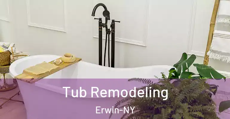 inner Bathroom imggen Tub Remodeling Erwin-NY