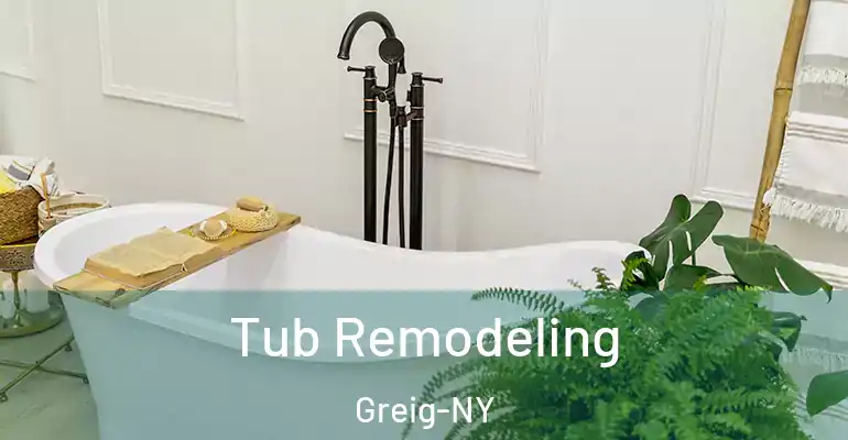 inner Bathroom imggen Tub Remodeling Greig-NY