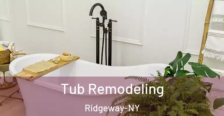 inner Bathroom imggen Tub Remodeling Ridgeway-NY