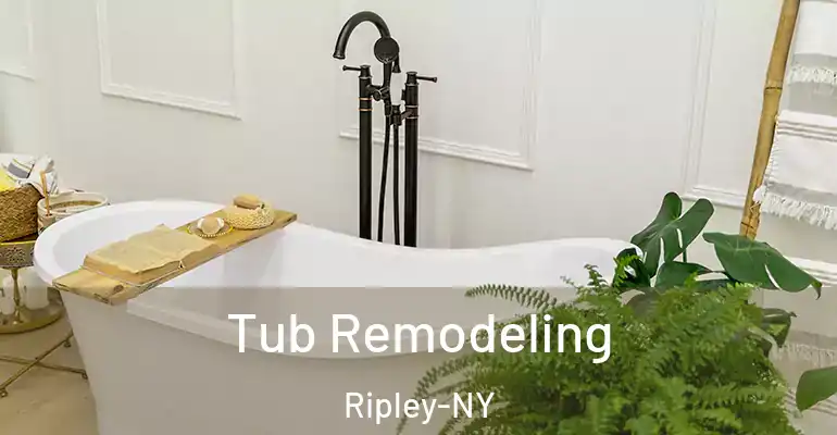 inner Bathroom imggen Tub Remodeling Ripley-NY