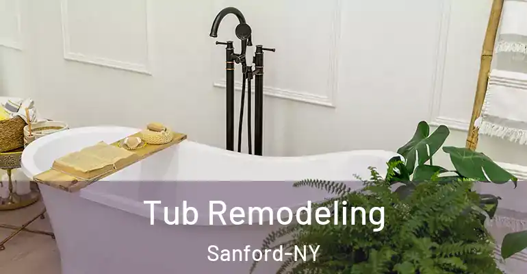 inner Bathroom imggen Tub Remodeling Sanford-NY
