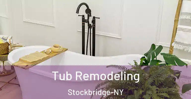 inner Bathroom imggen Tub Remodeling Stockbridge-NY